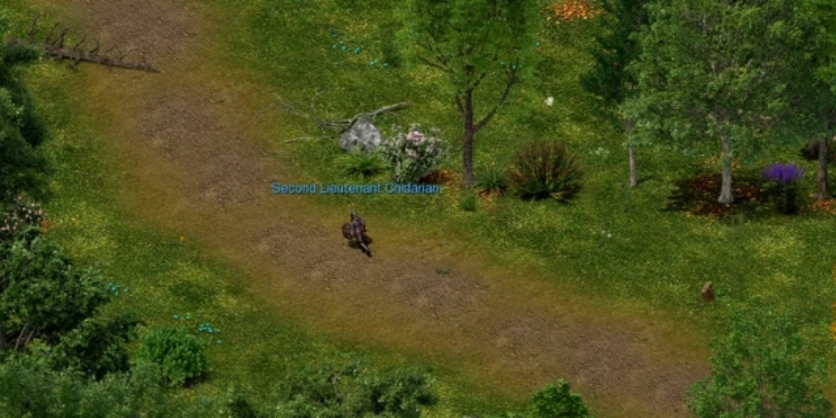 MMOexp Dreadmyst Beginner Guide ? Stop Dying Immediately After Entering the World