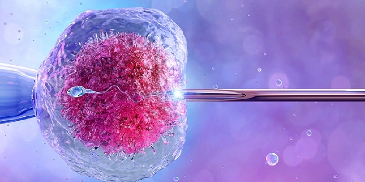 Why Cosmetic Gynaecology Is a Fast-Growing Women's Health Trend
