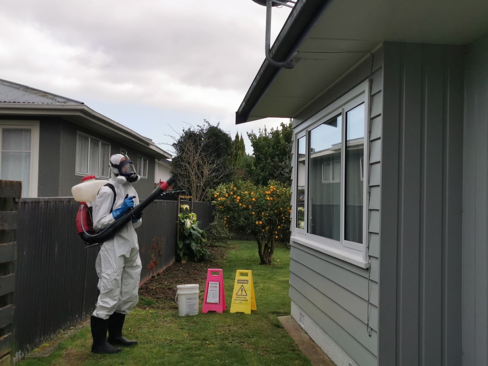 Cleaning Services in Palmerston North | Visto Cleaning