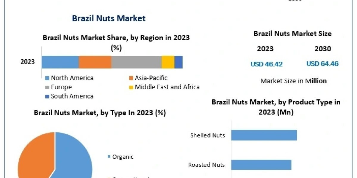 Brazil Nuts Market Expansion Supported by Health-Conscious Consumers and Smart Food Supply Chains