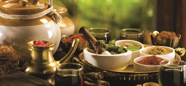 Is Ayurvedic Business Profitable in 2024 | Ayurvedic Business