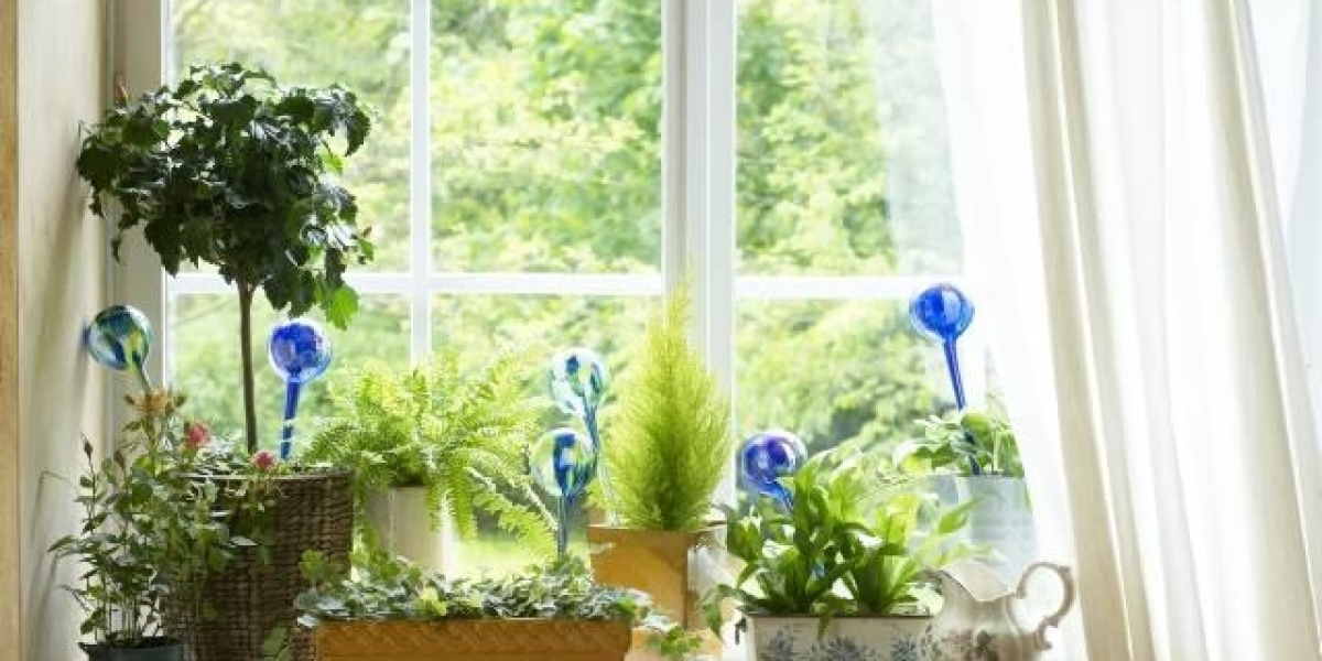 What Happens Underground When You Water With an Olla?