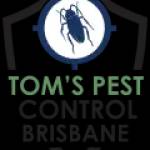 Tom's Pest Control Brisbane Profile Picture