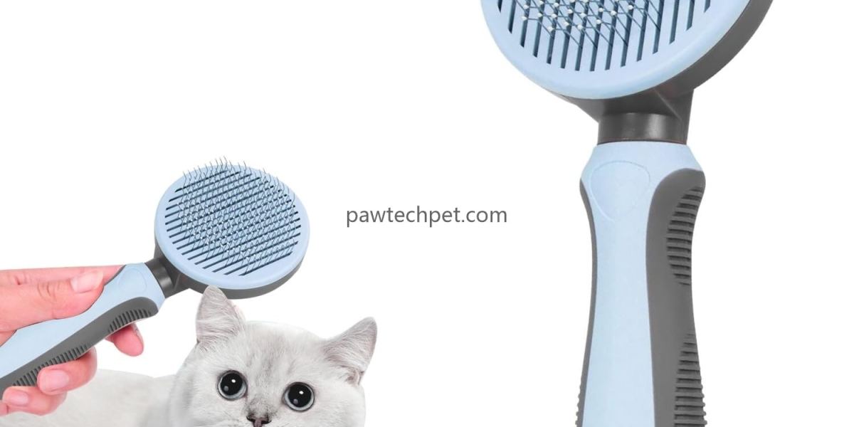 Modern Production Supporting Pet Care Innovation
