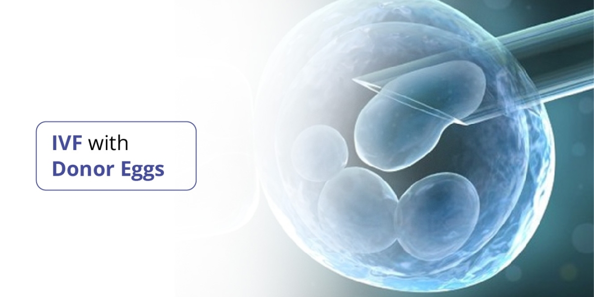 If I Use a Donor Egg, Will the Baby Have My DNA?