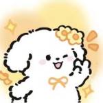 chinahai Profile Picture