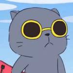FEIKE FEIKE Profile Picture