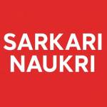 sarkari naukri Profile Picture