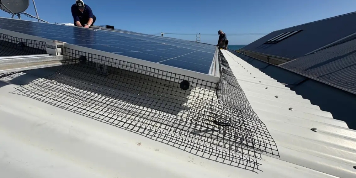 Find, Get Tom's Pest Control Sydney Solutions for Solar Panel Pigeon Proofing
