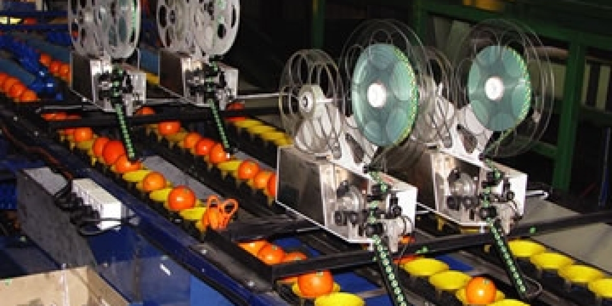 Automatic Fruit Labeling Machine: A Complete Guide to Modern Fruit Packaging