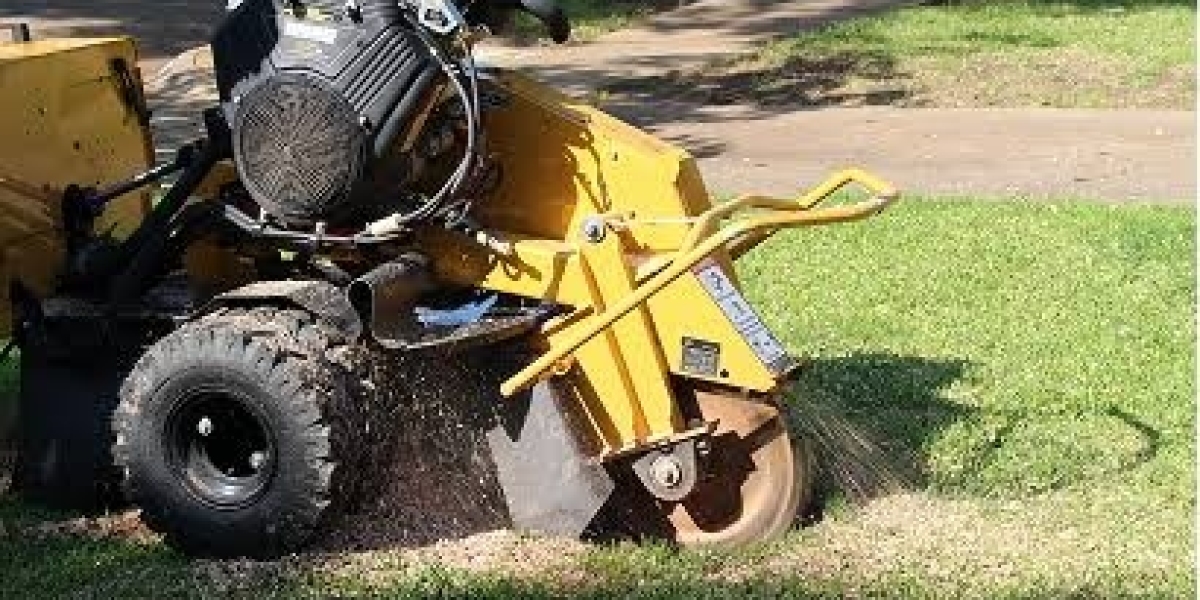Tree Stump Removal Service: Why Professional Removal Matters for Your Property