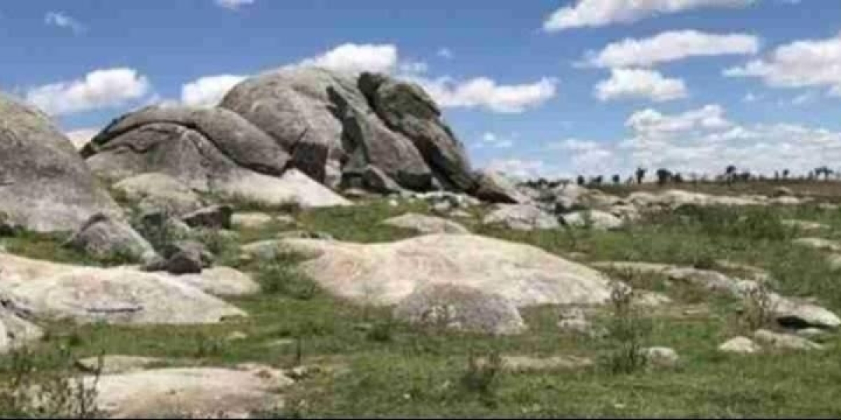 Preserving The Past: The Importance Of Aboriginal Heritage Consulting