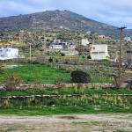 Greece Invests Profile Picture