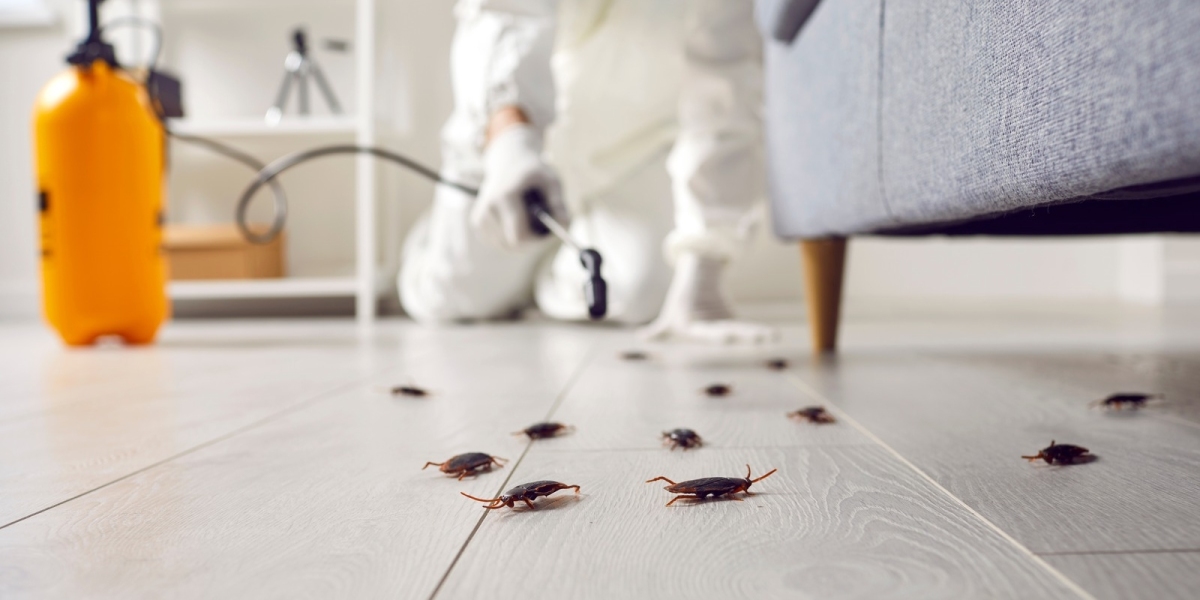 Professional Cockroach Exterminator Queens Services