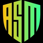 AppSecMaster LLC Profile Picture