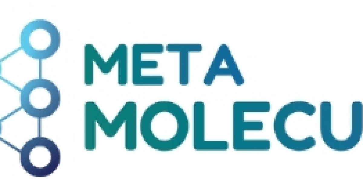 Meta Molecule