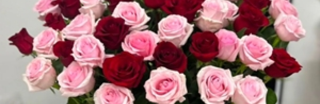 thebloom room Cover Image