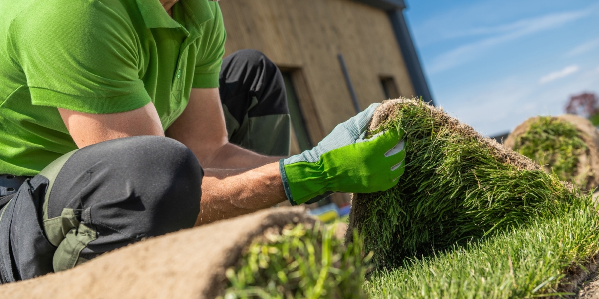 How Can Sod Installation Services in Buford, GA Transform Your Lawn?