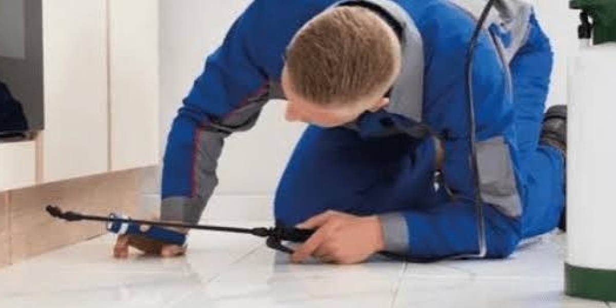 Pest Control Near Me Find Fast Reliable Pest Solutions Near You