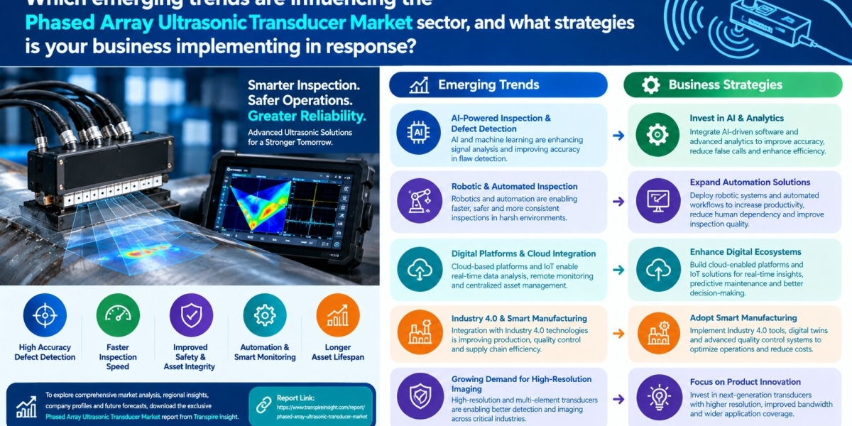 Phased Array Ultrasonic Transducer Market Size, Share, Growth & Forecast