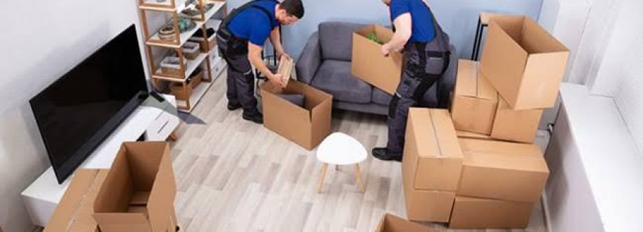 Dubi movers Cover Image