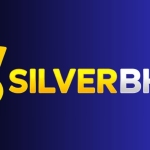 silverbhai Profile Picture
