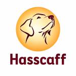 Hasscaff Scaffolding Profile Picture