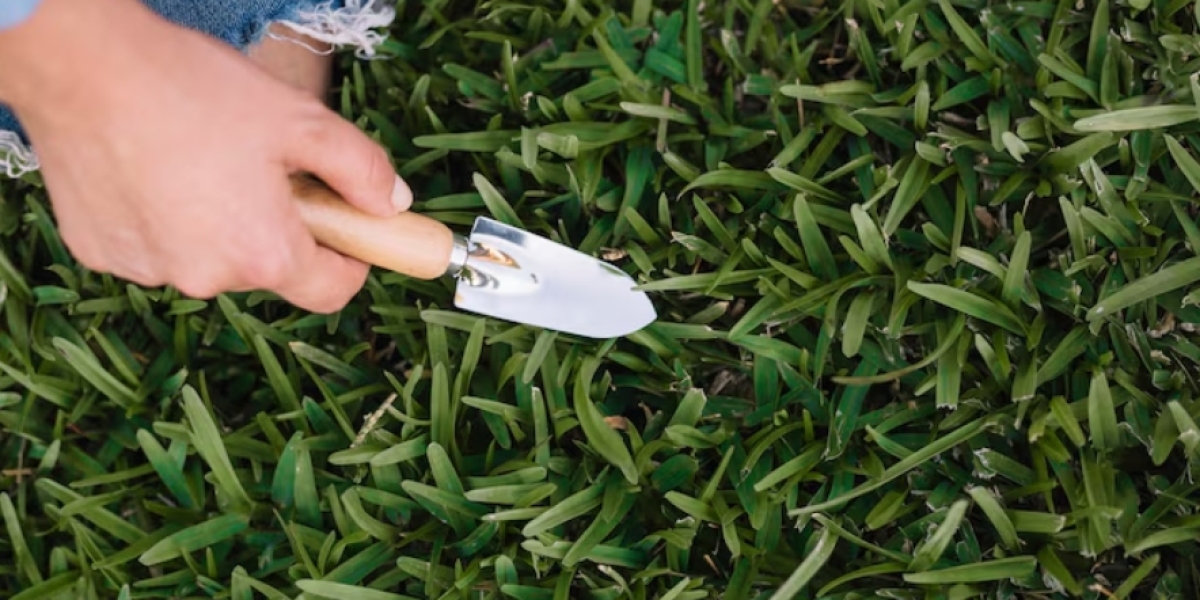Improve Your Lawn with Professional Core Aeration and Lawn Overseeding Services