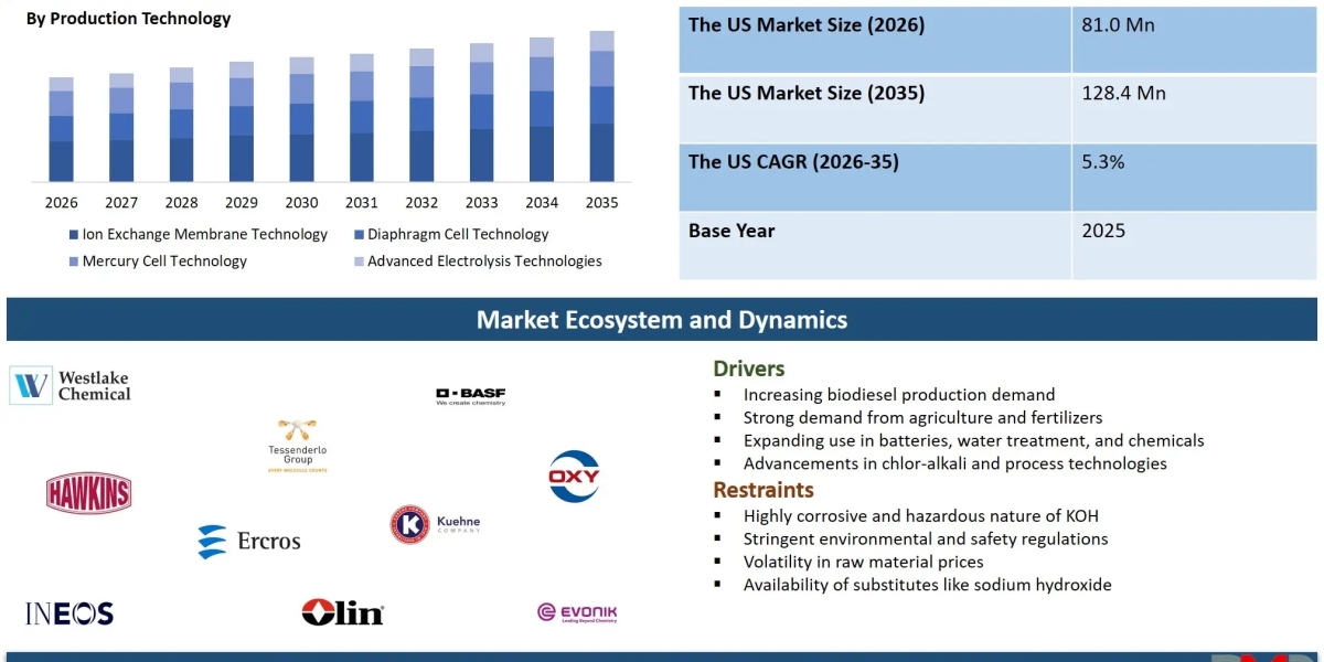 US Potassium Hydroxide Plant Technology Market: Growth, Trends and Forecast 2035