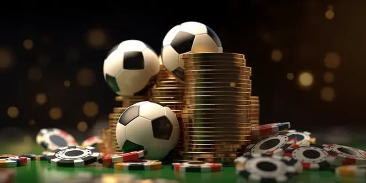Allpanel Insights: A Look at Modern Cricket Features and Digital Betting Tools