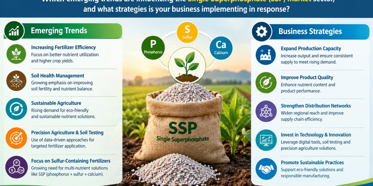 Single Superphosphate (SSP) Market: Growth Trends, Demand, Opportunities & Forecast