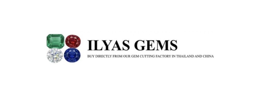 Ilyas Lapidary Cover Image