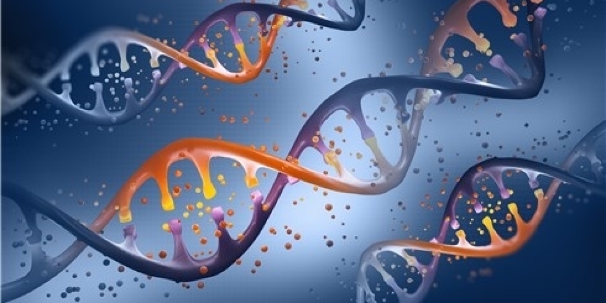 Demystifying Genetic Biosafety in Live Biotherapeutic Products: A Preclinical Guide