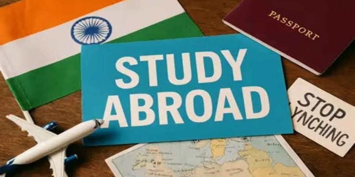 How Study Abroad Consultants Help Students Plan Their Overseas Education