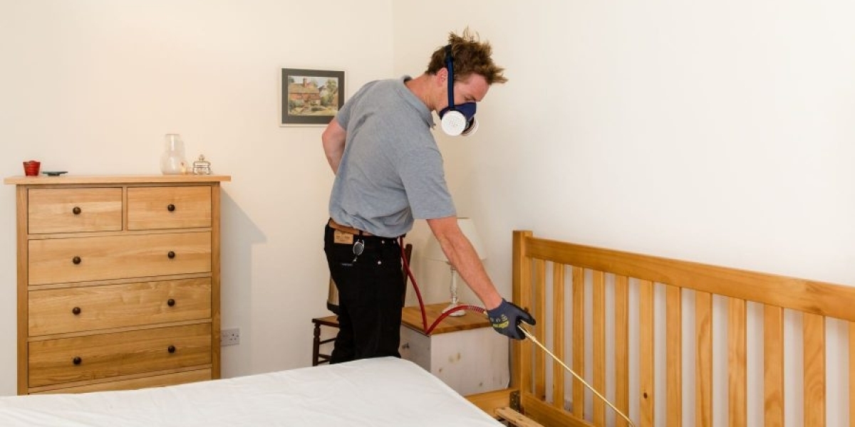 How Bedbug Removal Costs Can Vary by Property