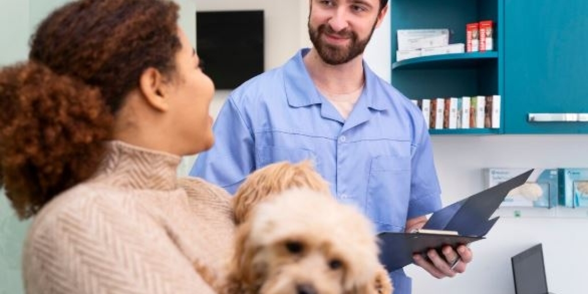 Can a Service Legally Handle Your After-Hours Calls Without a Veterinarian On?
