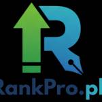 seo services in lahore Profile Picture