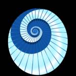 minimicro Profile Picture